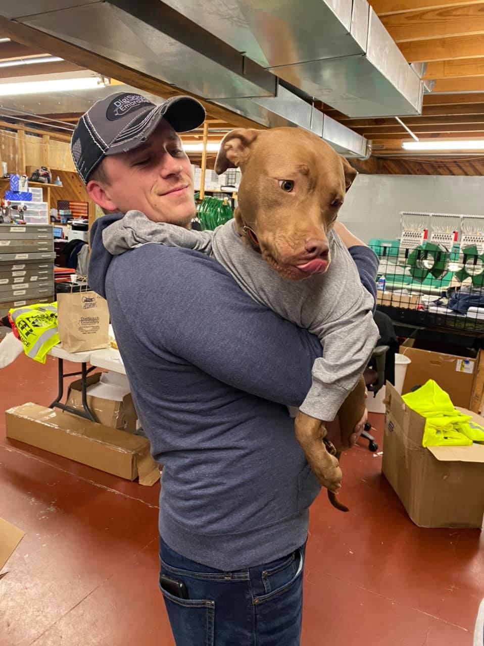 A person holds a brown dog wearing a grey sweatshirt in a warehouse setting, with the dog sticking its tongue out.