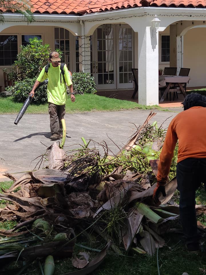 Man With Air Blower — Mililani, HI — Roy's Lawn Mowing & Yard Services