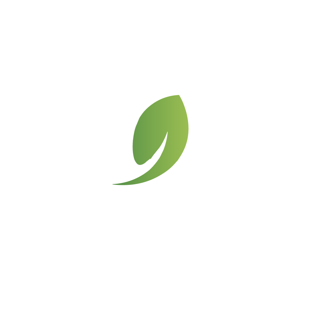 Uma folha verde com um redemoinho em um fundo branco.