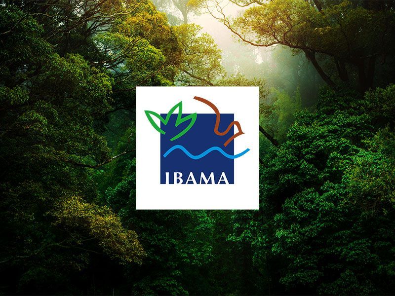 Um logotipo do ibama é exibido na frente de uma floresta