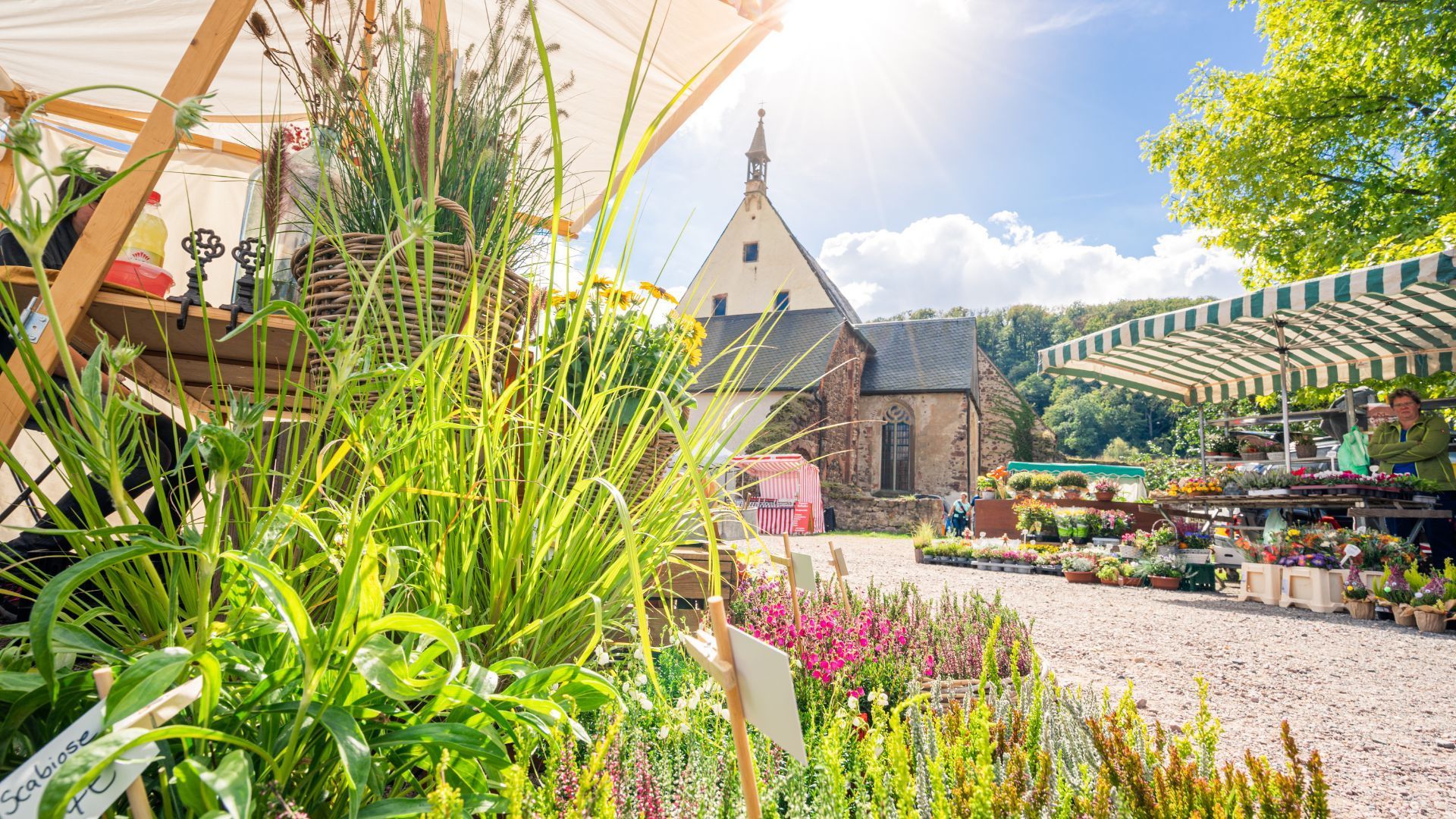 Blick auf Marktplatz mit Gemüse- und Blumenständen zum Verkauf