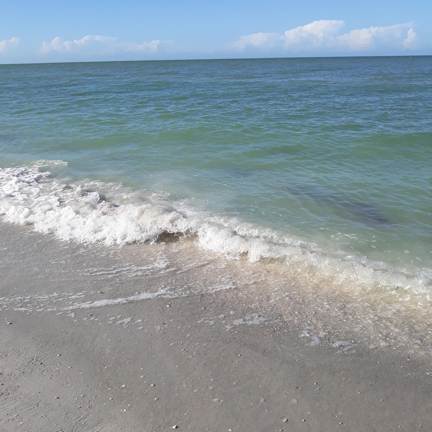 Ocean — Pinecrest, FL — Beacon Hypnotherapy Institute Ocean — Pinecrest, FL — Beacon Hypnotherapy Institute