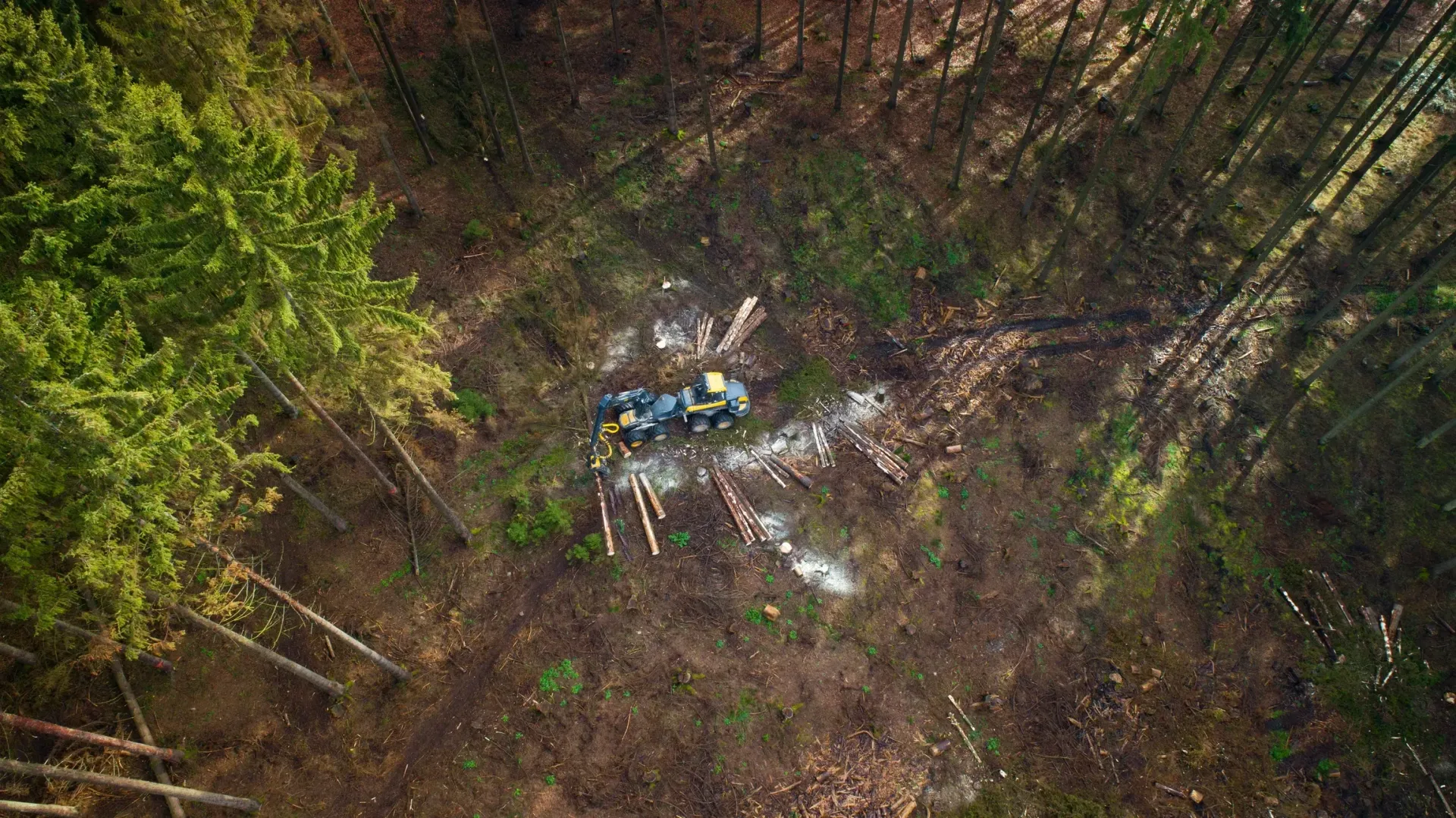 Aerial view of a person lying on a forest floor beside scattered debris and branches