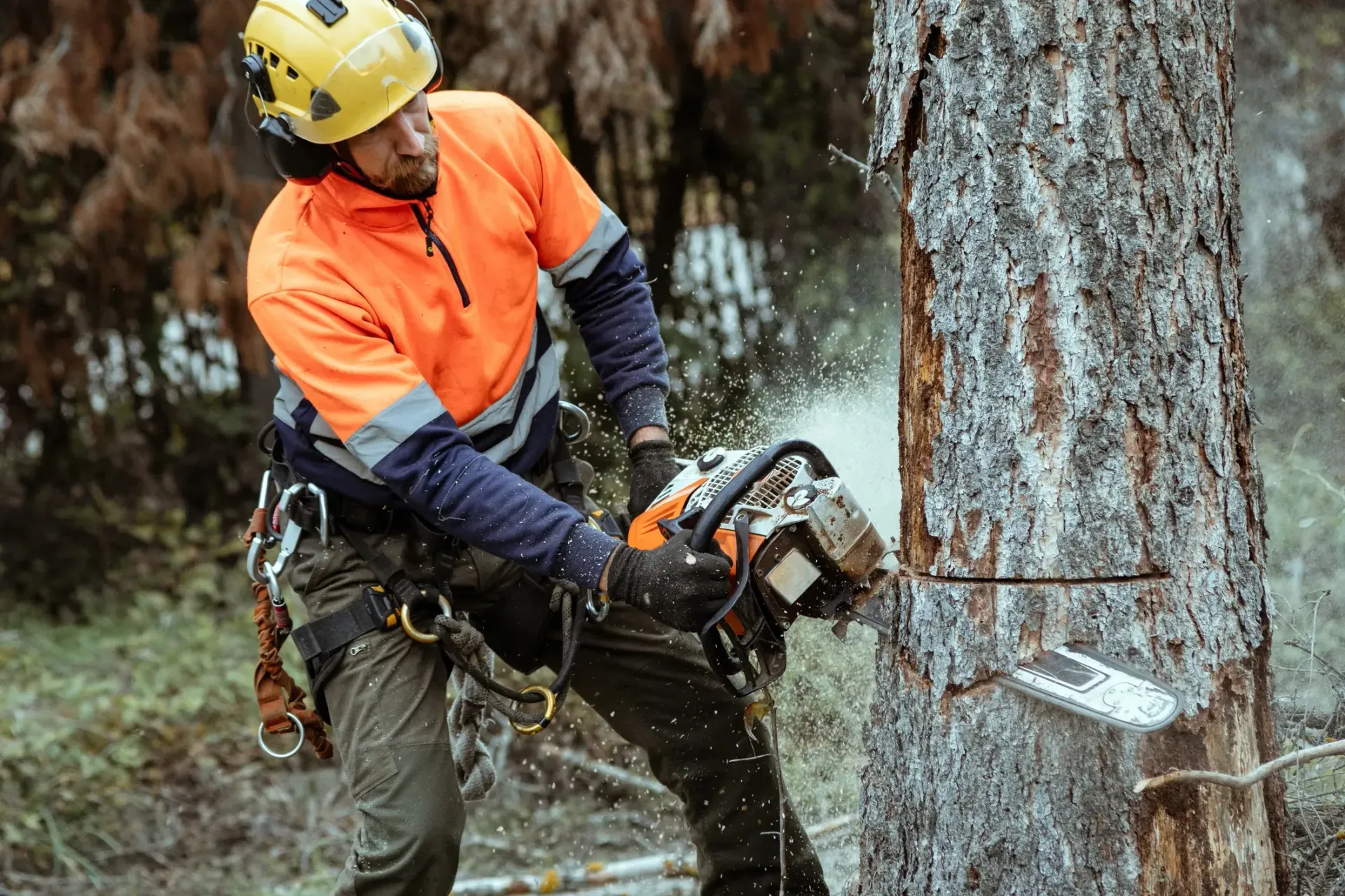 Arborist in orange safety gear cutting a tree trunk with a chainsaw as wood chips fly.