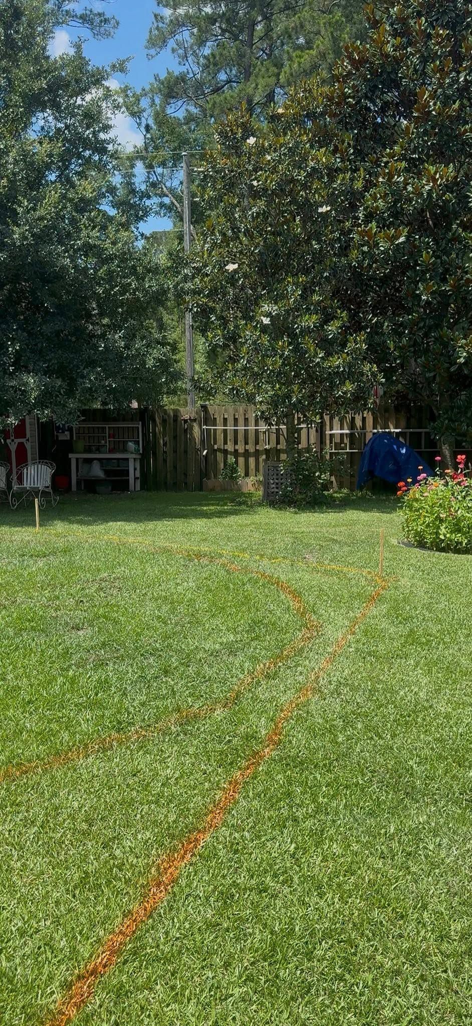 Sunny backyard with a green lawn, tall trees, a wooden fence, and a blue pool at the right edge