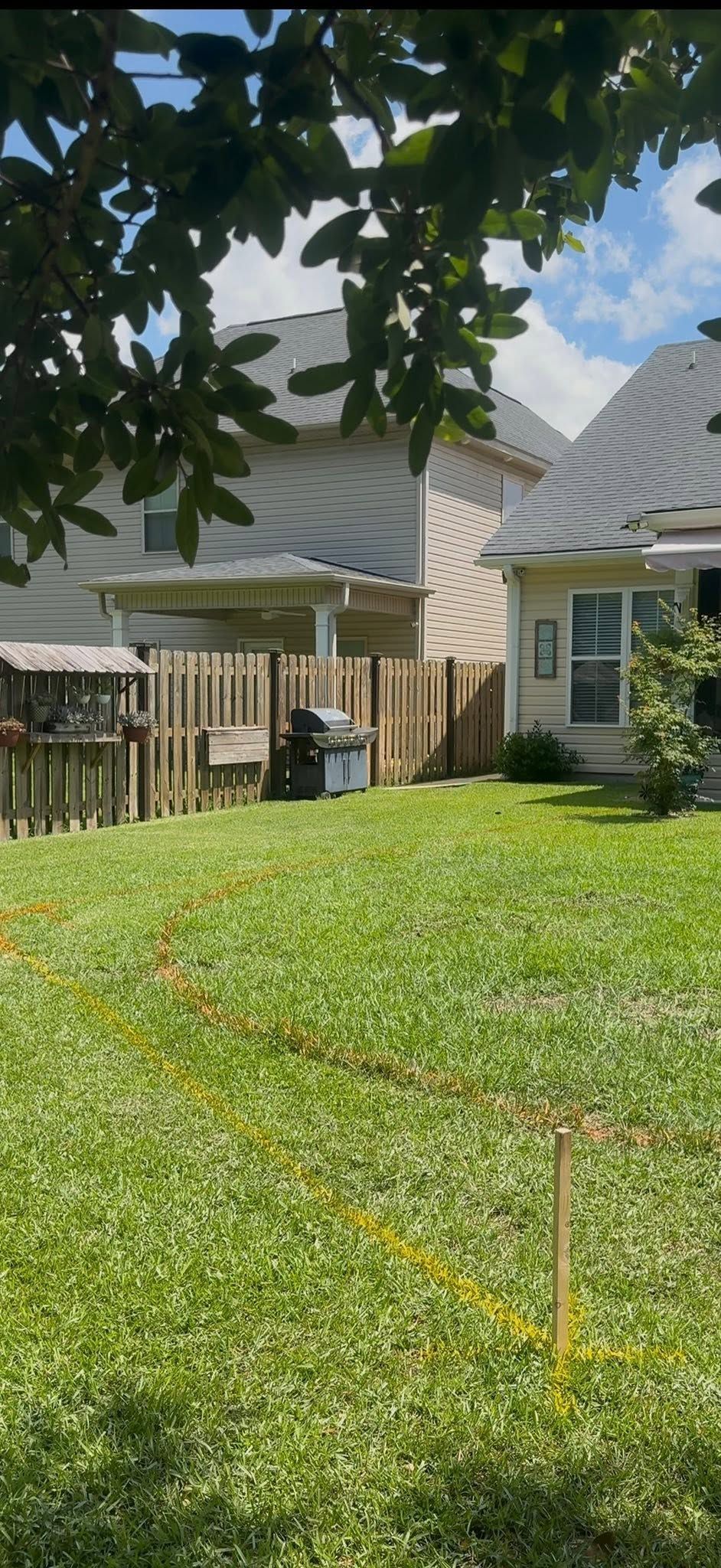 Sunny backyard lawn with a wooden fence, trees, and neighboring houses under a blue sky