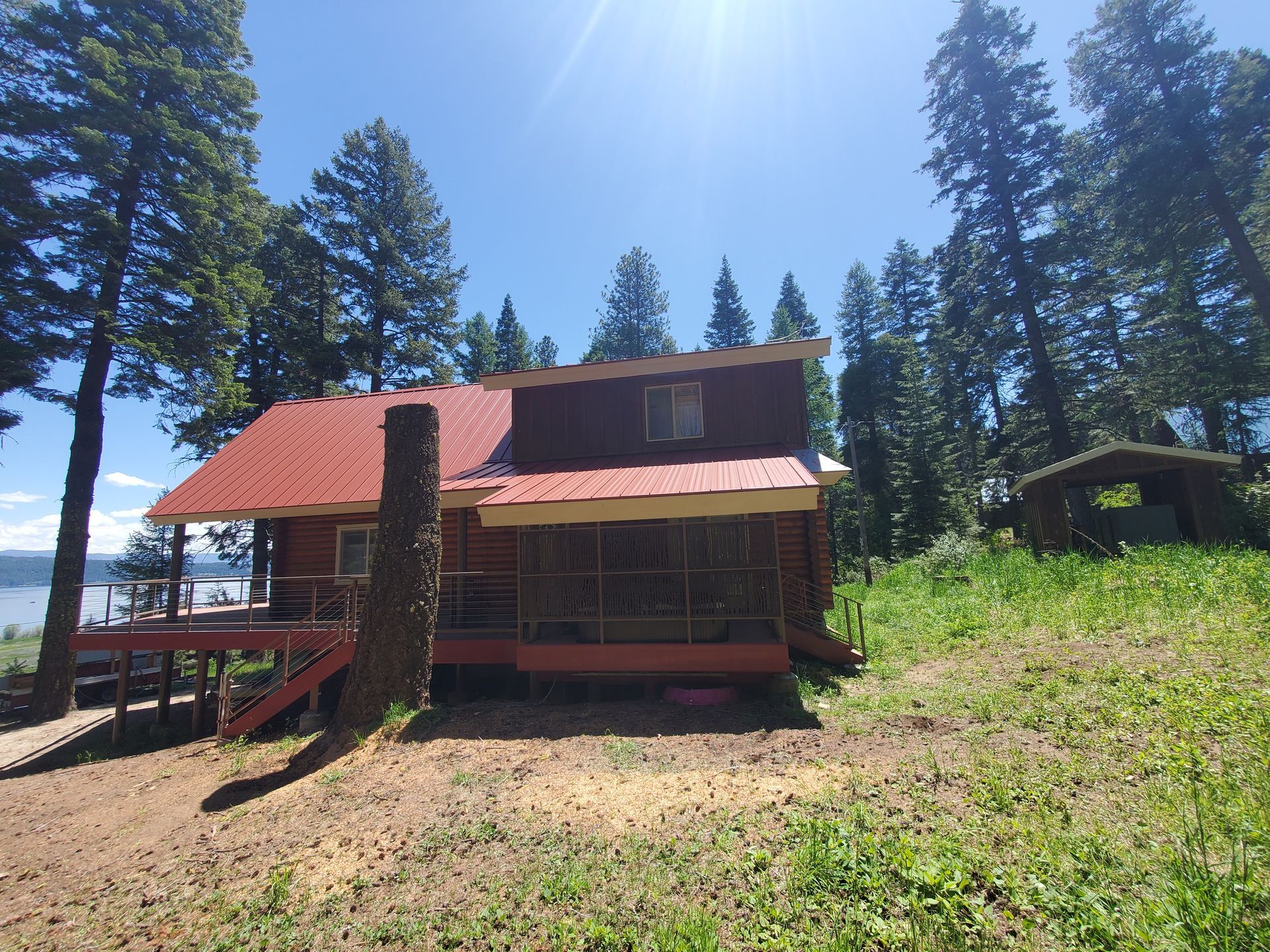 A two-story log cabin with a red metal roof sits on a sloped, grassy hillside among tall pine trees on a sunny day.