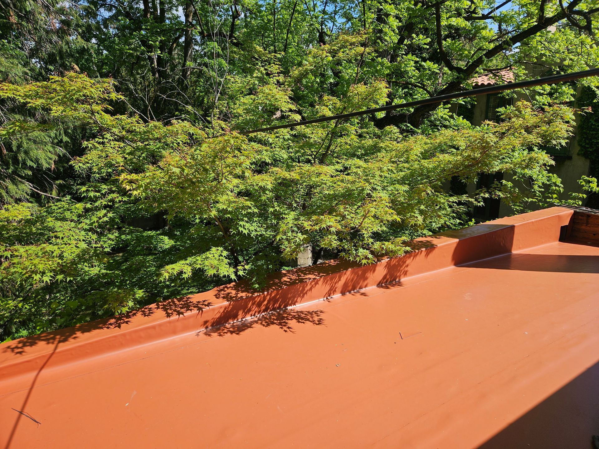 A flat, orange-painted roof edge with a green, leafy tree branch extending over it against a sunny, blue sky background.