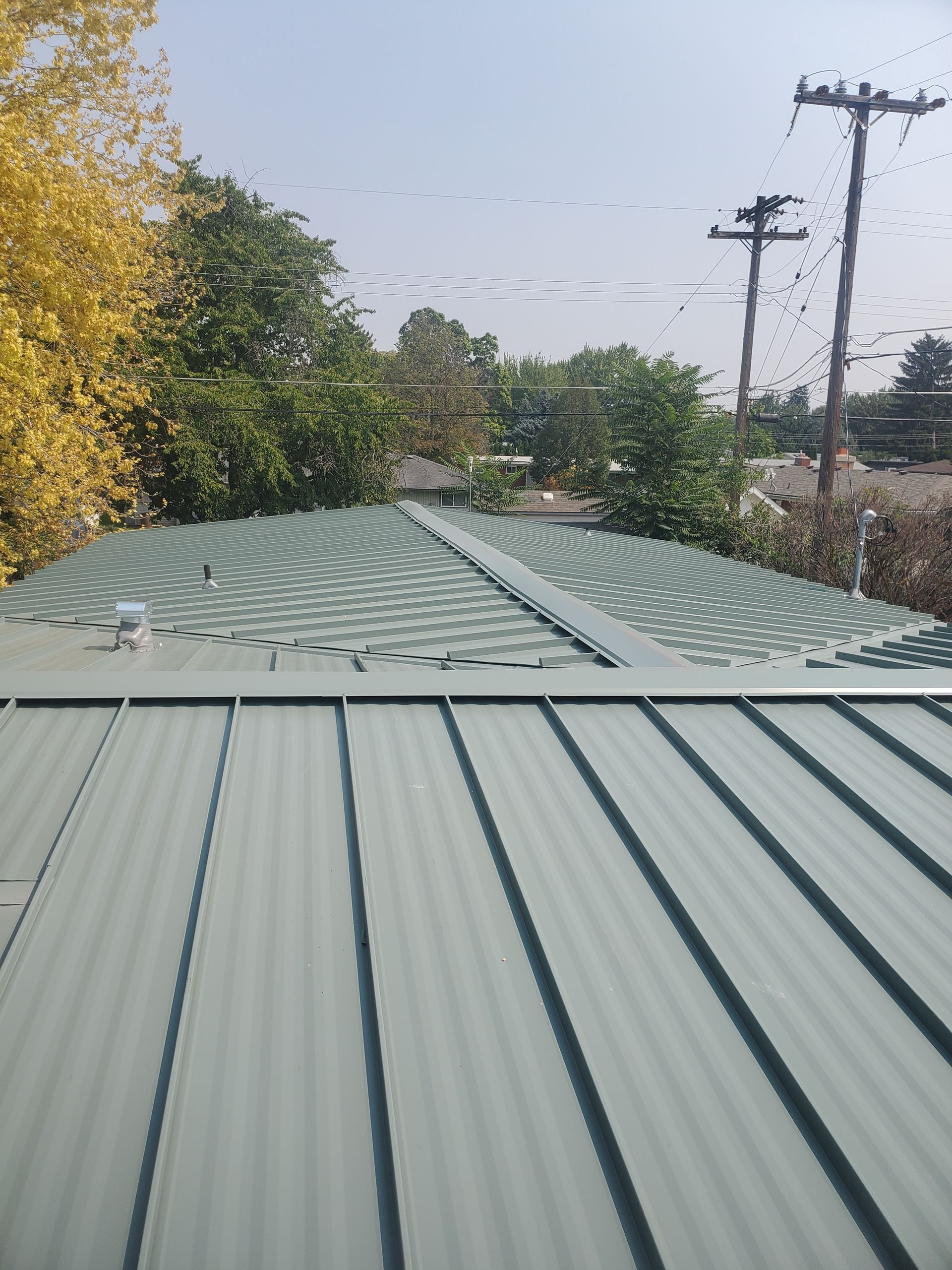 A view from a standing seam metal roof looking across to a nearby green roof, trees, and utility poles under a hazy sky.