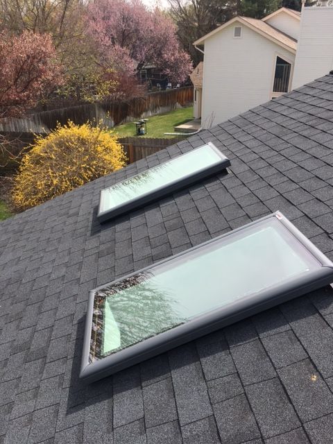 Two skylights installed on a gray shingled roof, overlooking a backyard with flowering trees.