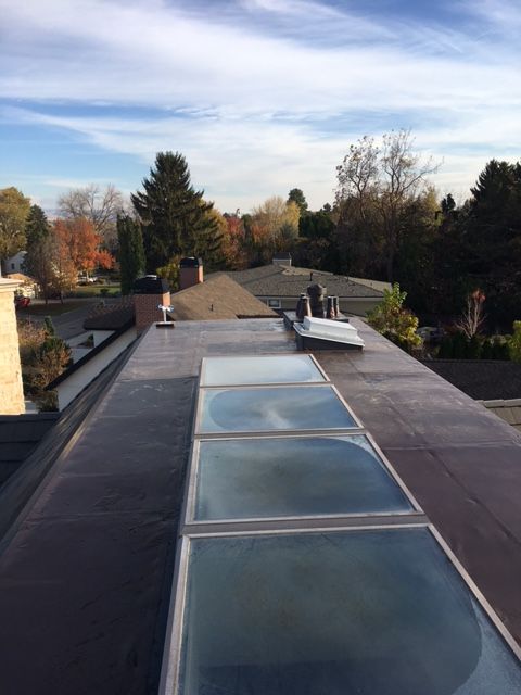 A row of four rectangular skylights set into a flat, dark roof against a background of autumn trees and blue sky.