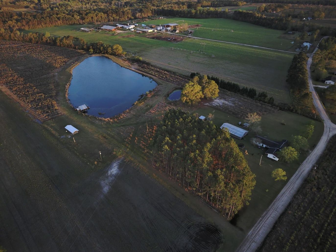 Aerial view of a rural pond beside fields and trees at sunset, with a small road nearby