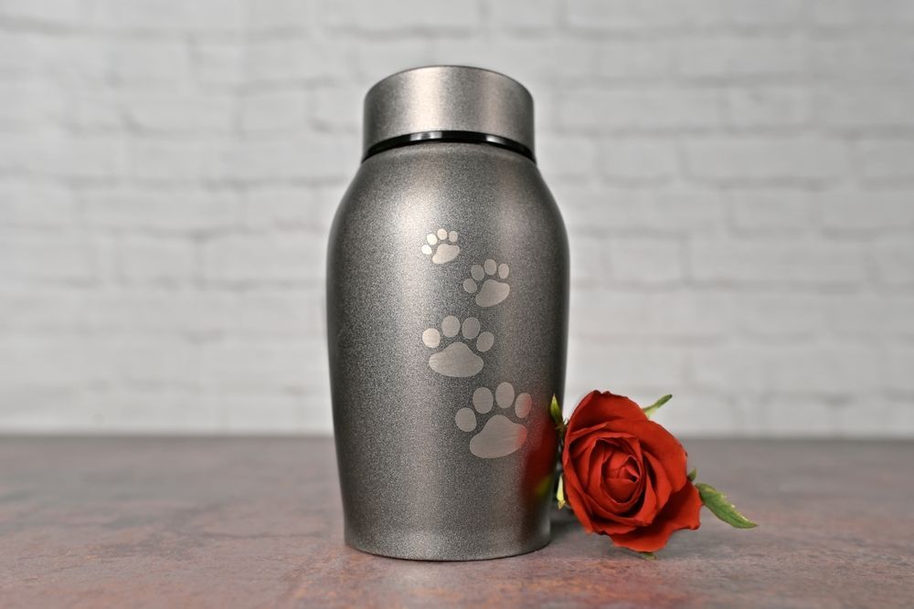 Silver paw-print cremation urn with a red rose beside it on a wooden surface