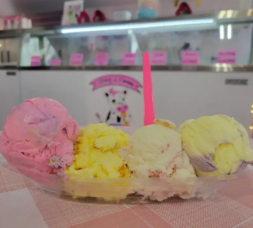 Four scoops of pastel ice cream on a counter in a shop