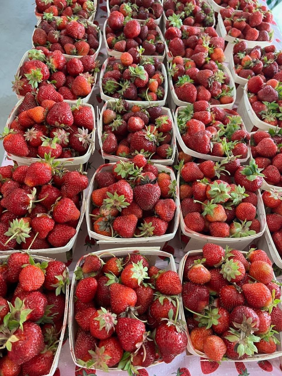 Rows of baskets filled with red strawberries at a market stall