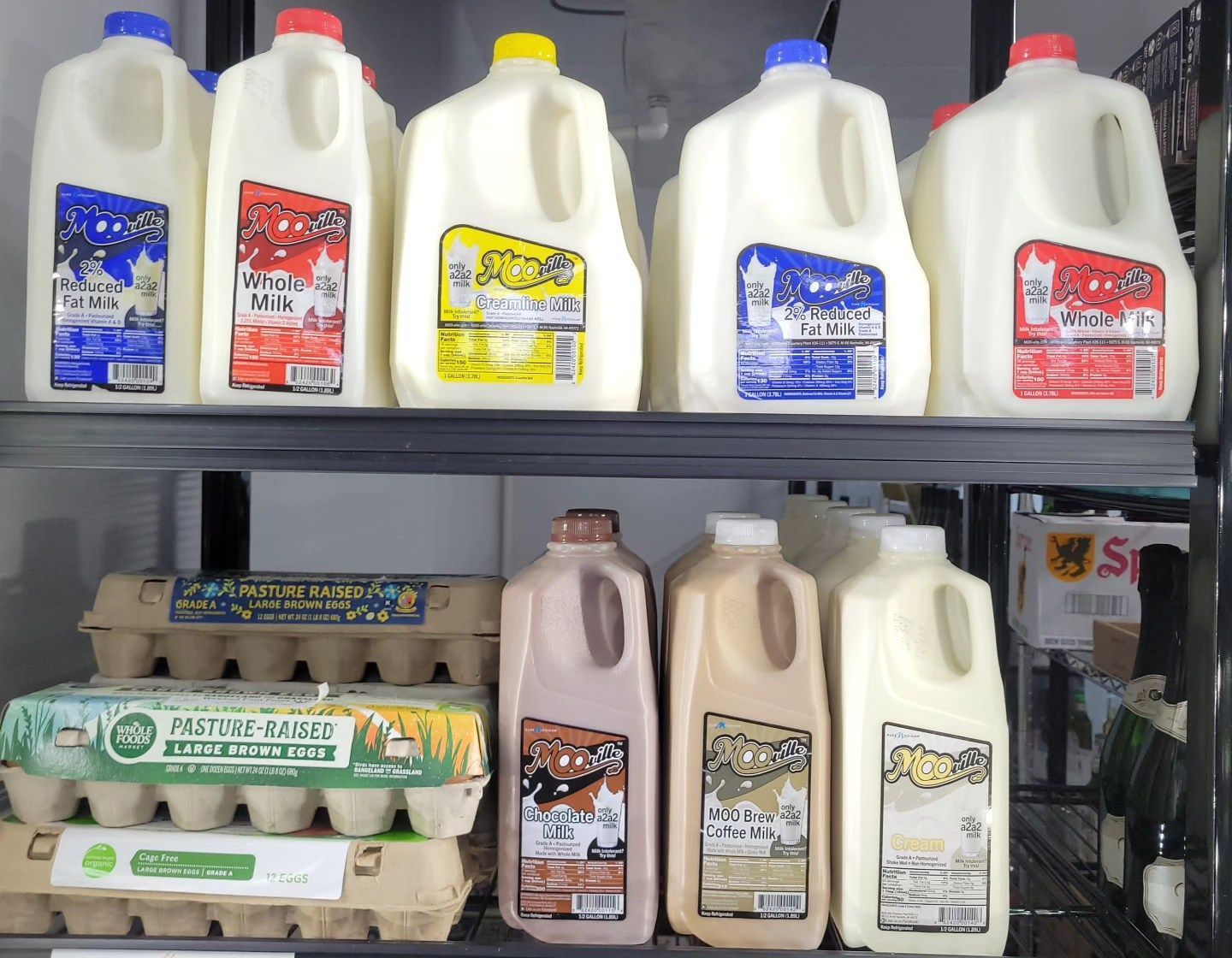 Shelf of milk jugs and egg cartons in a refrigerator, with assorted dairy labels and colored caps.
