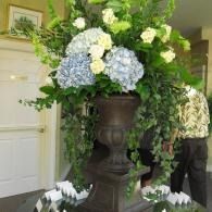 White and blue hydrangea arrangement with greenery in a large urn at an entryway