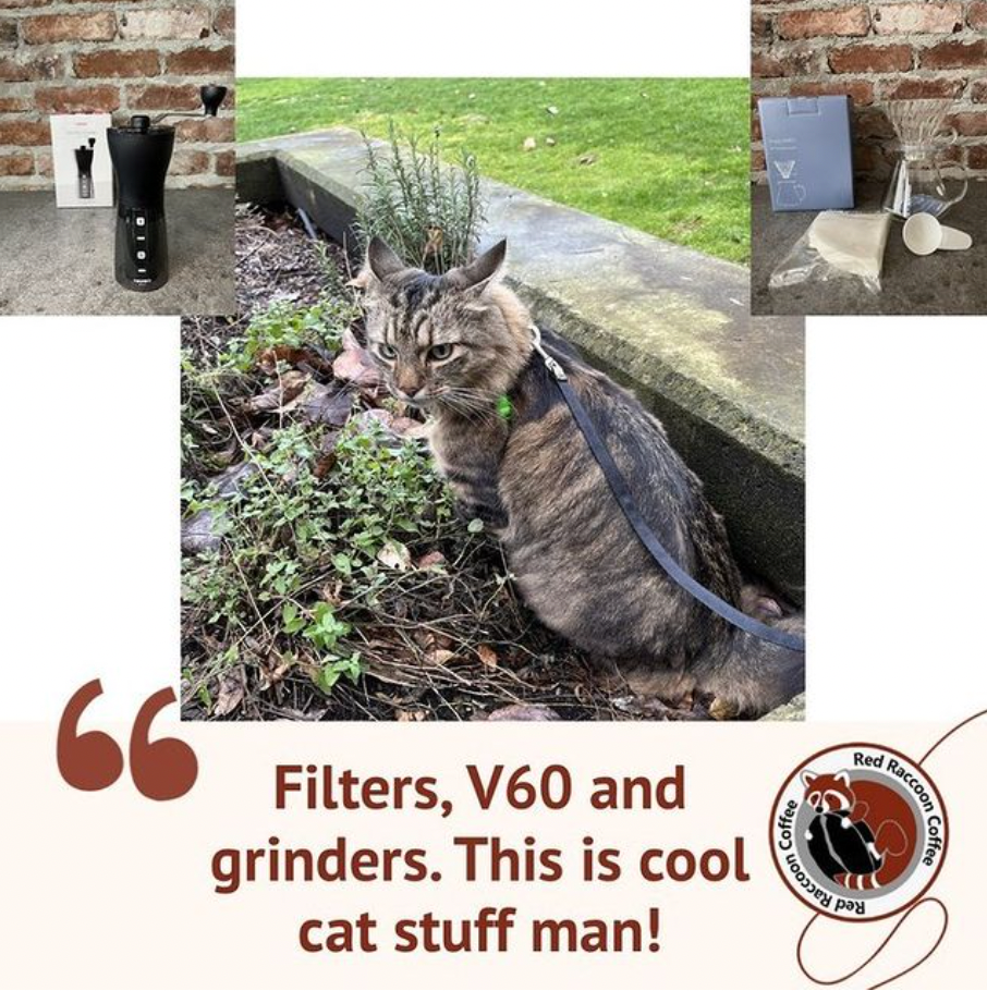 A cat on a leash with a quote that says filters v60 and grinders this is cool cat stuff man