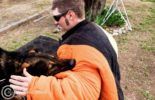 Sierra Canine Working Dogs