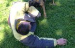 Sierra Canine Working Dogs