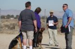 Sierra Canine Working Dogs