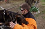 Sierra Canine Working Dogs