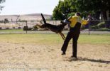 Sierra Canine Working Dogs