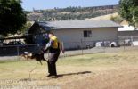 Sierra Canine Working Dogs