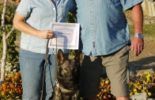 Sierra Canine Working Dogs