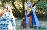 Sierra Canine Working Dogs