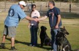 Sierra Canine Working Dogs