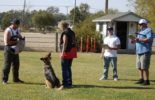 Sierra Canine Working Dogs