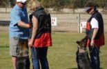 Sierra Canine Working Dogs