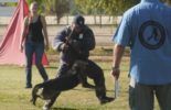 Sierra Canine Working Dogs