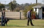 Sierra Canine Working Dogs