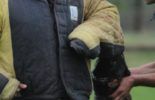 Sierra Canine Working Dogs