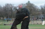 Sierra Canine Working Dogs