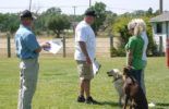 Sierra Canine Working Dogs
