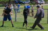 Sierra Canine Working Dogs