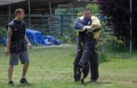 Sierra Canine Working Dogs