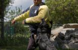 Sierra Canine Working Dogs