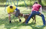 Sierra Canine Working Dogs