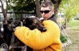 Sierra Canine Working Dogs