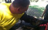 Sierra Canine Working Dogs