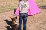 Sierra Canine Working Dogs