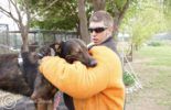 Sierra Canine Working Dogs