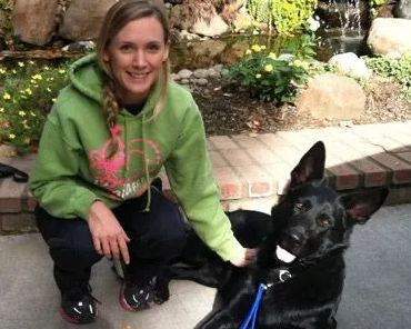 Sierra Canine, 530-418-9898, dog protection training Chico, dog obedience training chico ca, house broken chico