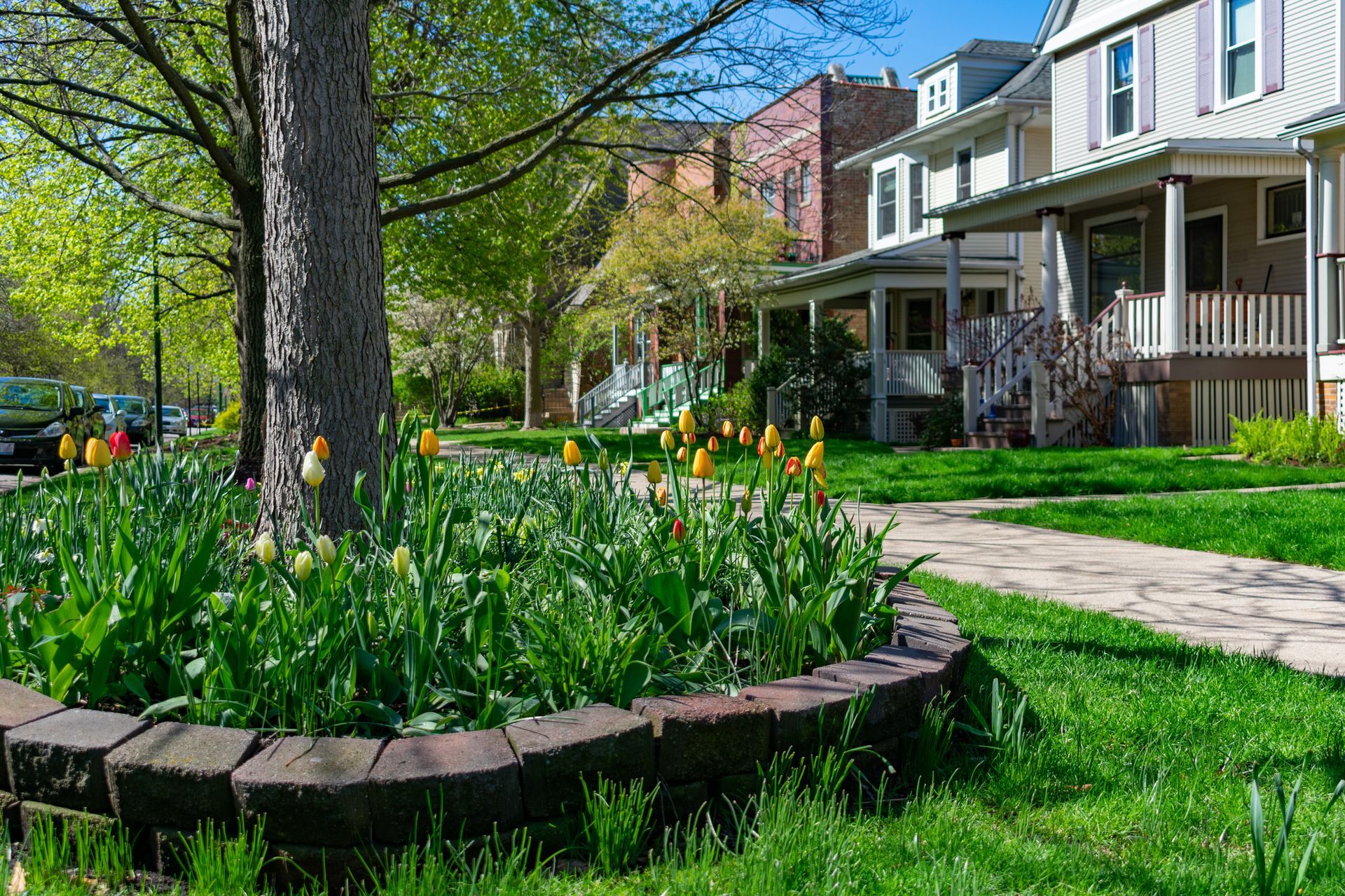 Old Homes — South Bend, IN — Double E Tree Service