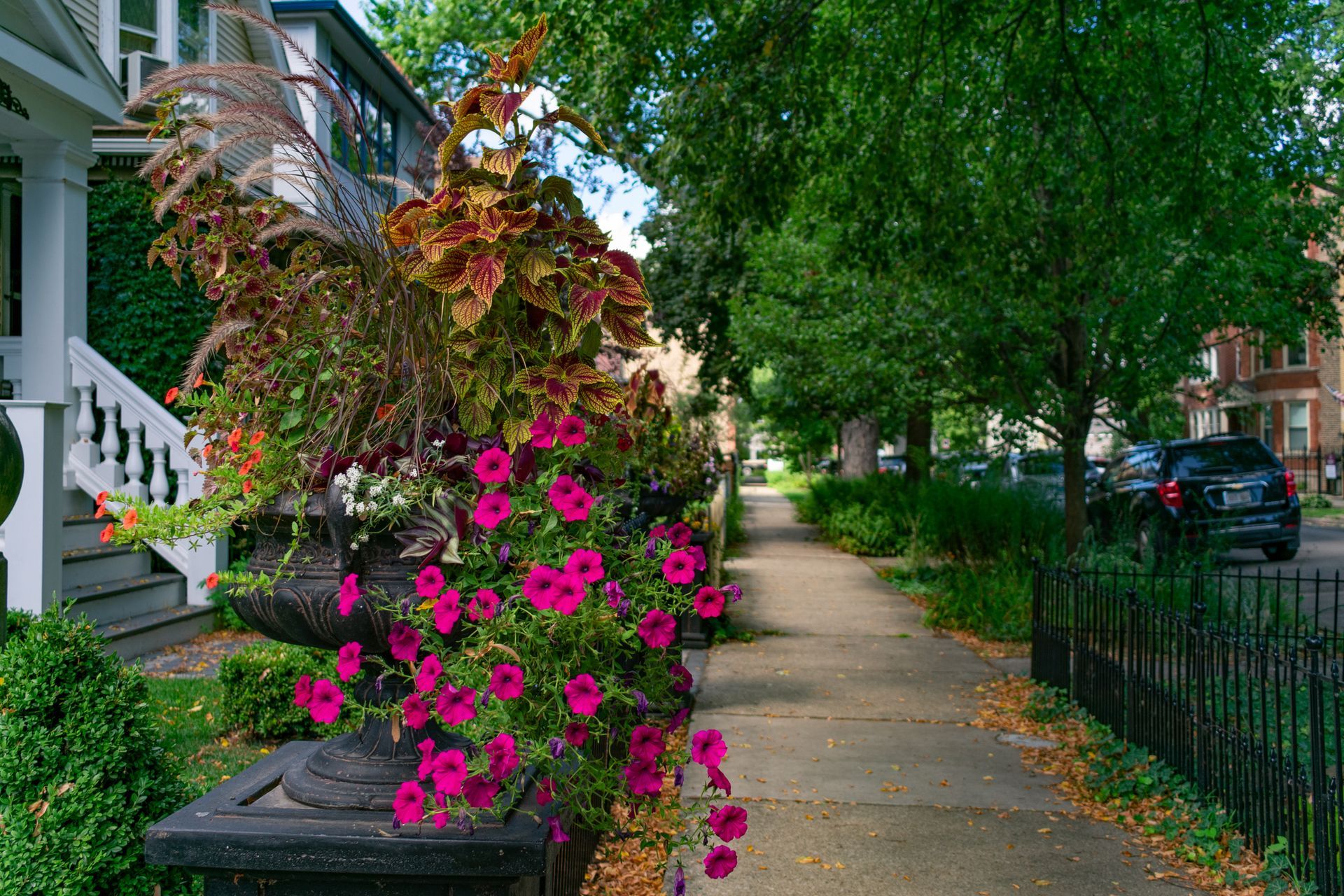 Sidewalk — South Bend, IN — Double E Tree Service Sidewalk — South Bend, IN — Double E Tree Service