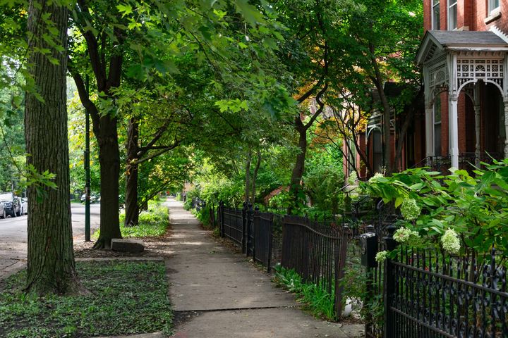 Flowers — South Bend, IN — Double E Tree Service
